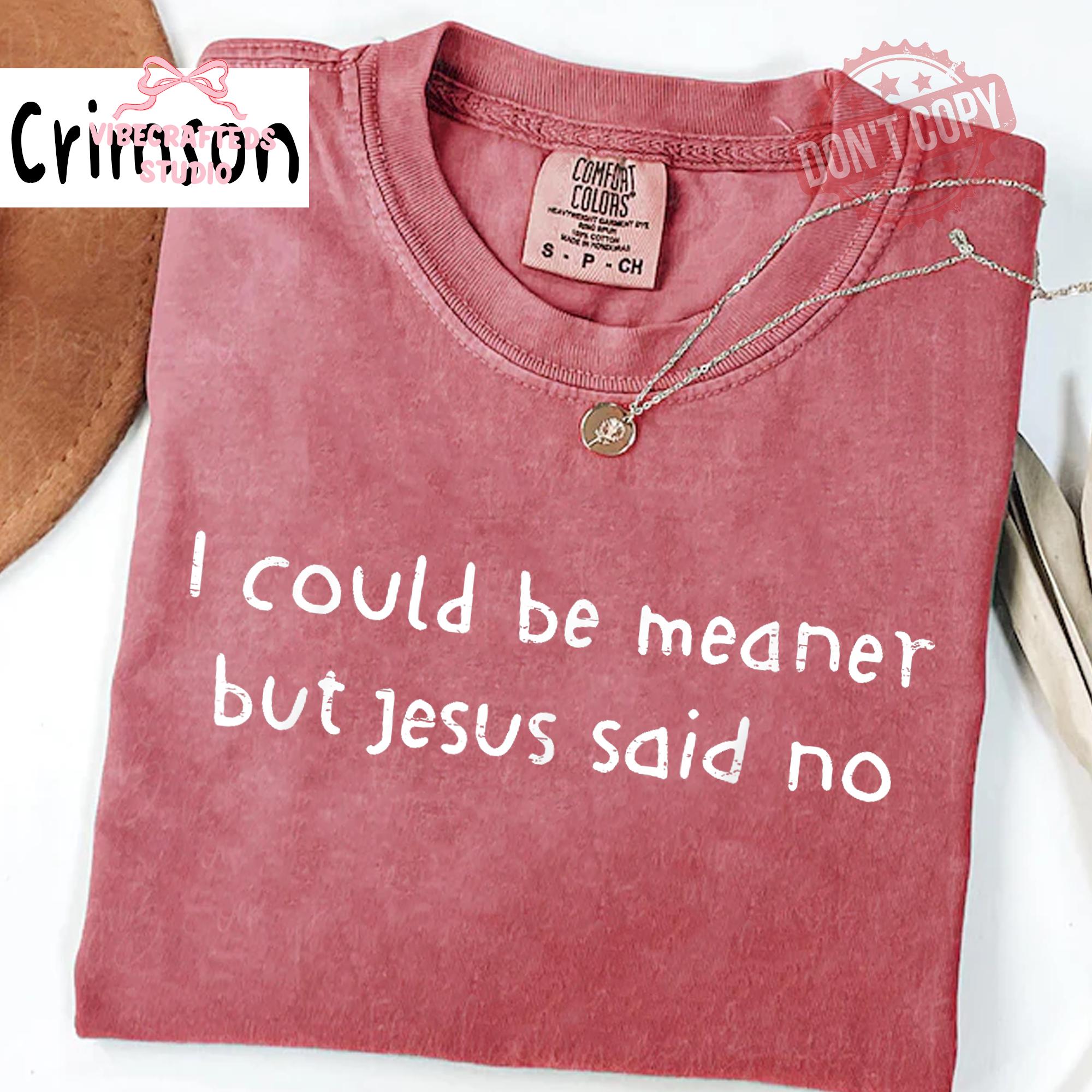 Could Meaner Jesus Said Christian Faith Humor Tee Religious Quote Comfort Colors Christian (3)