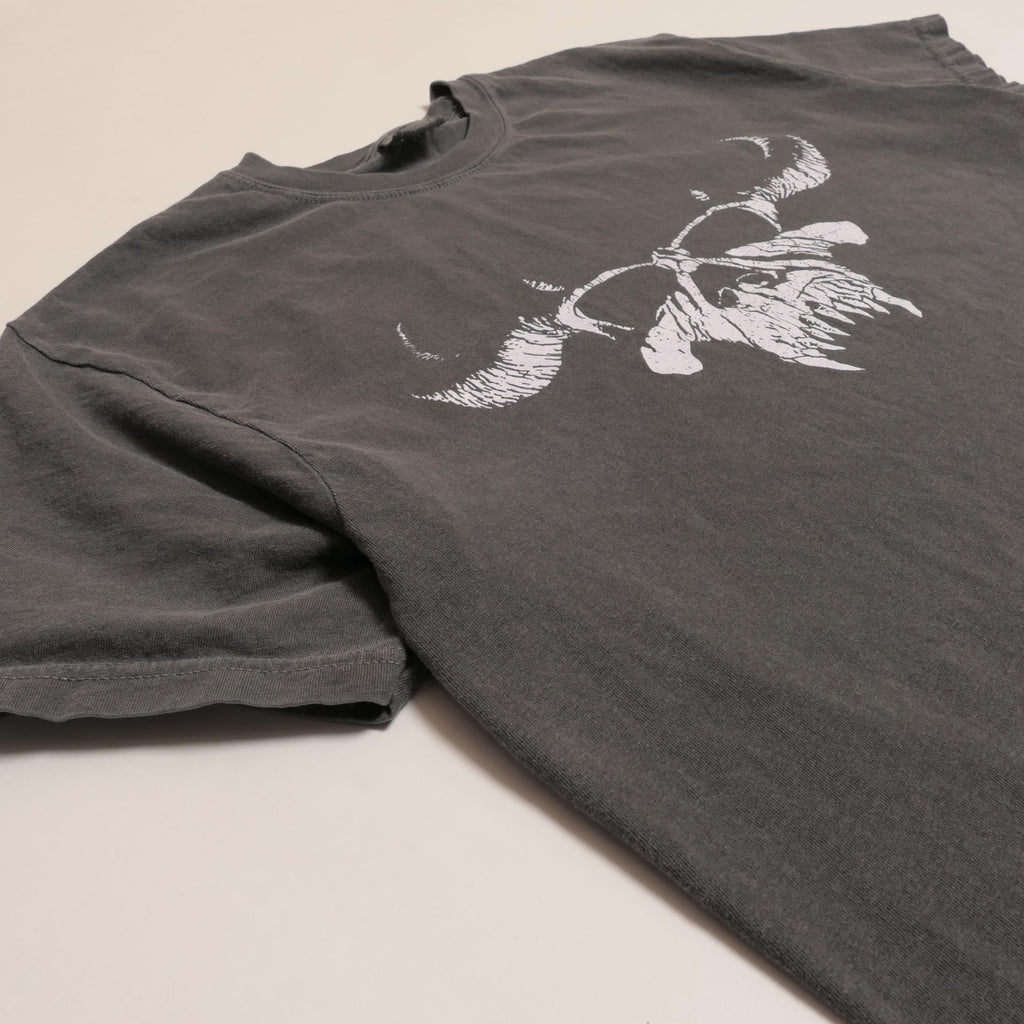 Danzig Band Tee Samhain American Gothic Doom Metal Punk Rock Heavyweight Boxy Fit Ultra Faded Xl (3)