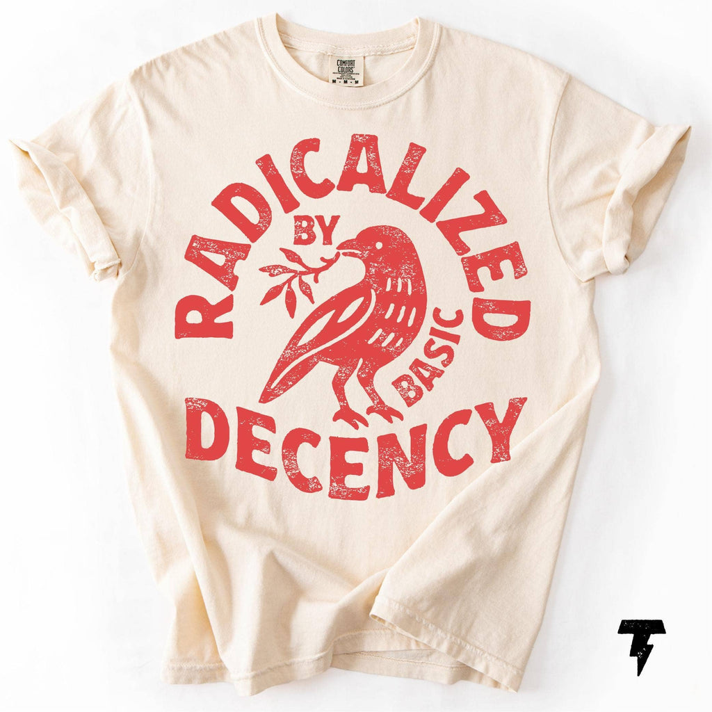 Radicalized By Basic Decency Political Protest Tee