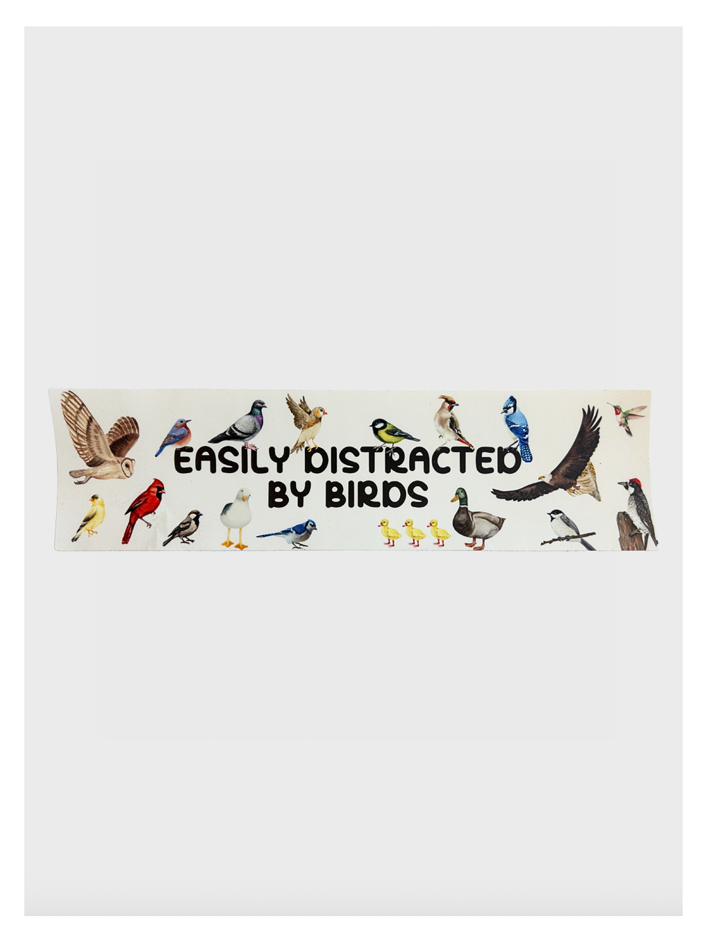 Easily Distracted By Birds Bumper Sticker