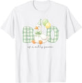 Brother of the Silly Goose Birthday Matching Family Outfit T-Shirt