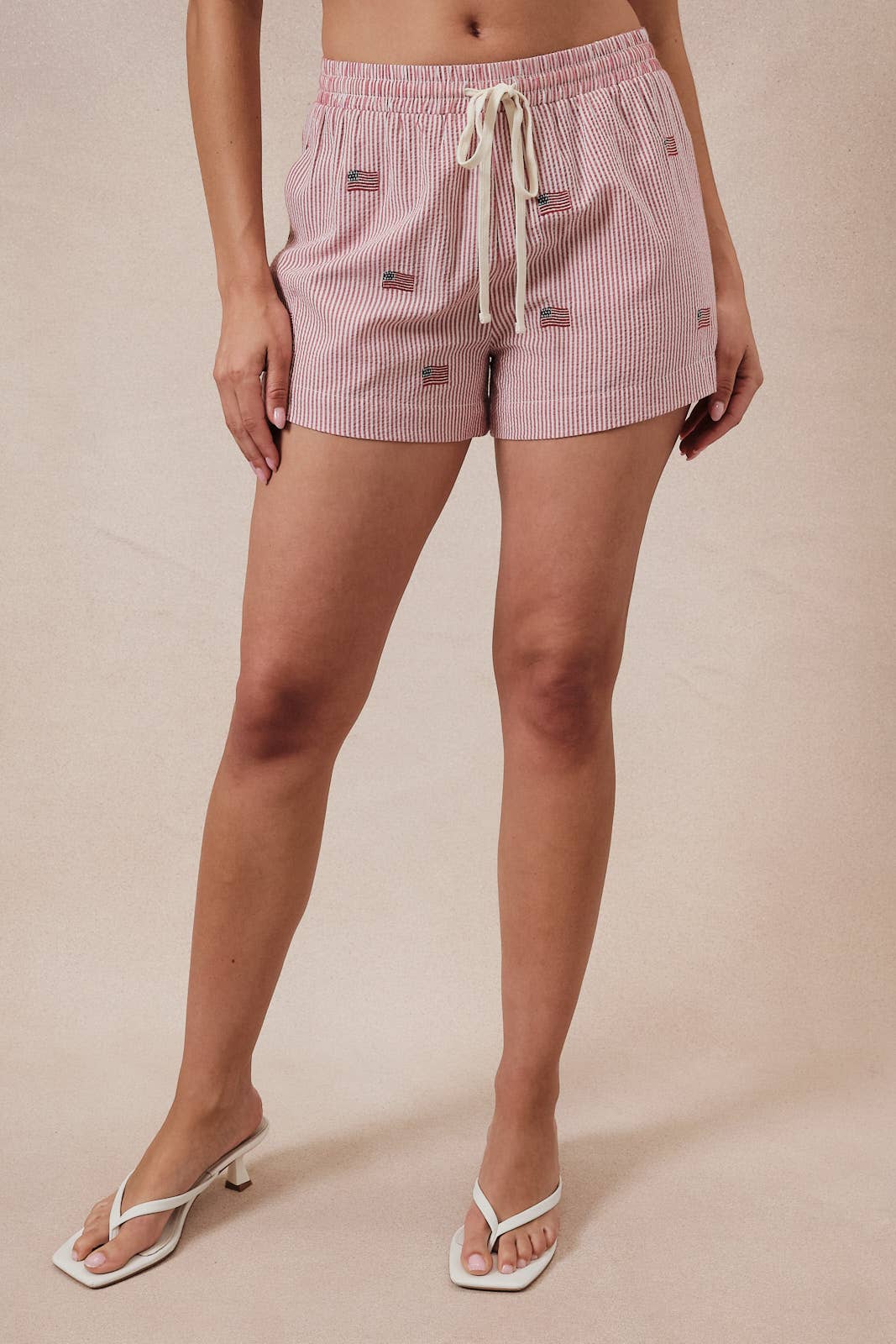 Stripe Flag Embroidered Shorts