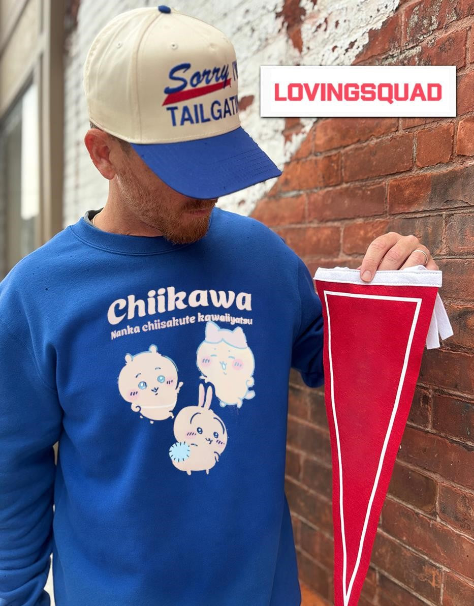 Chiikawa Nanka Chiisakute Kawaiiyatsu Characters shirt