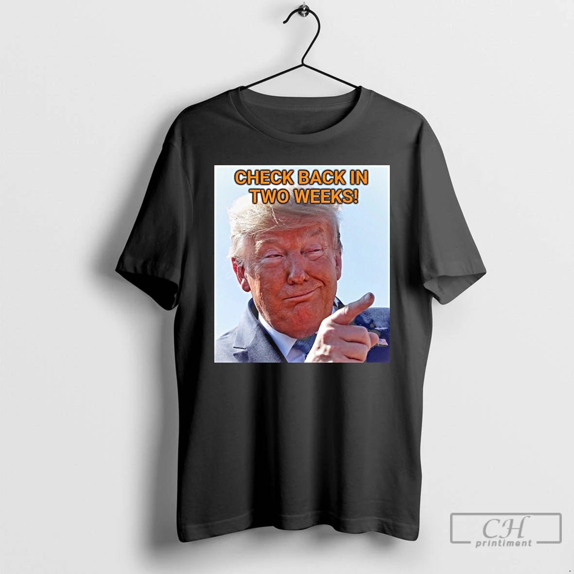 Classic Check Back In Two Weeks Donald Trump T Shirts Hoodie, Sweatshirt | InkRitualCo.com
