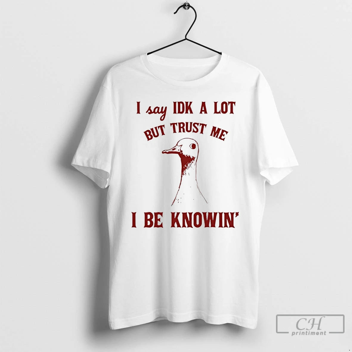 Classic Duck I Say Idk A Lot But Trust Me I Be Knowin Art T-Shirts, Hoodie, Sweatshirt | InkRitualCo.com