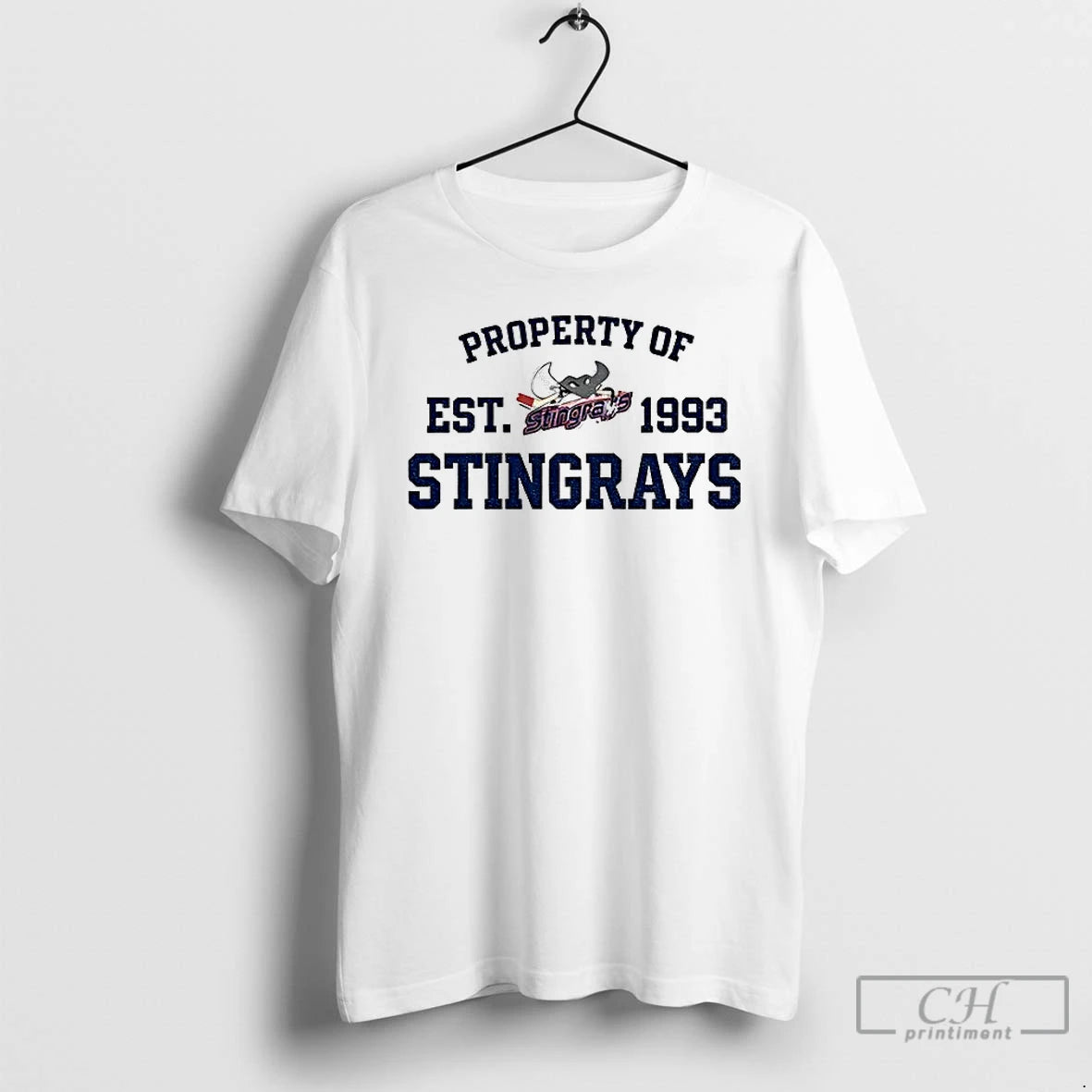 Classic Property Of Stingrays Est 1993 Logo Vintage T-Shirts, Hoodie, Sweatshirt | InkRitualCo.com