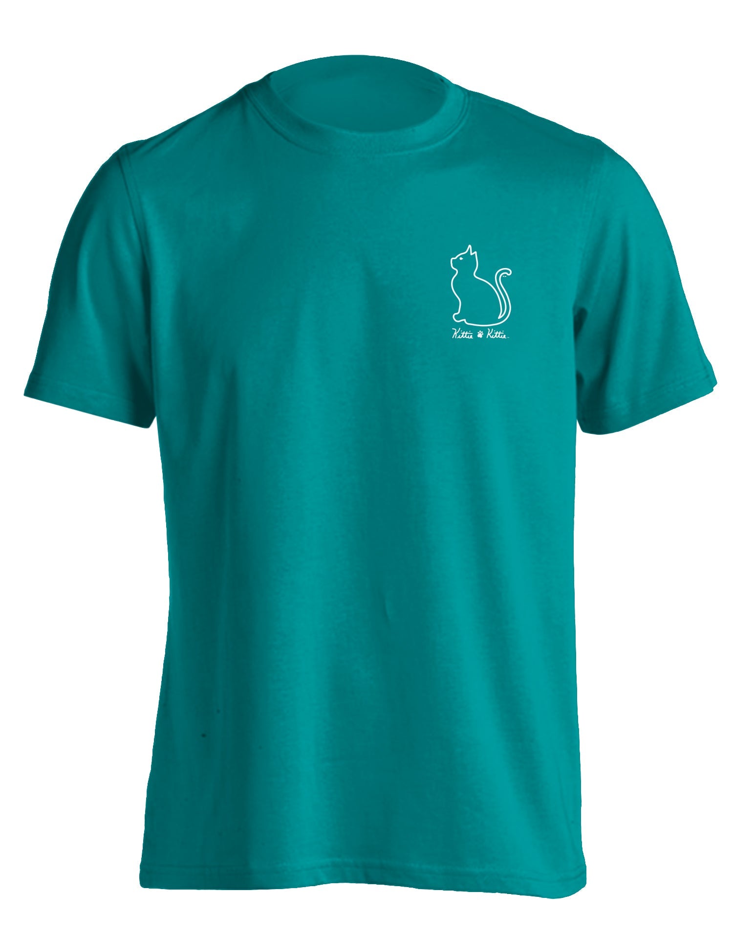 DINOSAUR PATTERN KITTIE