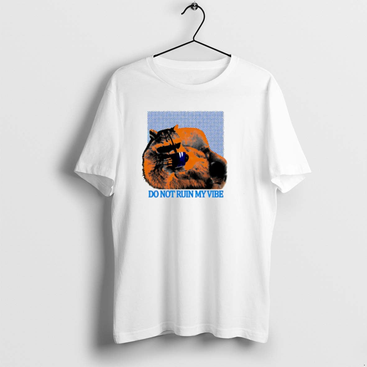 Official Do Not Ruin My Vibe Raccoon Trash Panda T-Shirts, Hoodie, Sweatshirt | InkRitualCo.com