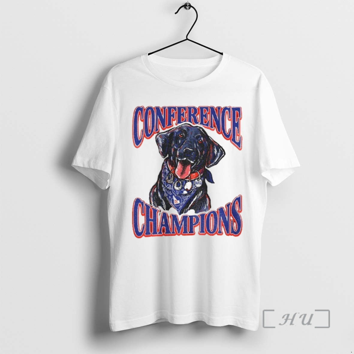 Officials Boise State Broncos Back To Back Conference Champions Blitz T-Shirts, Hoodie, Sweatshirt | InkRitualCo.com