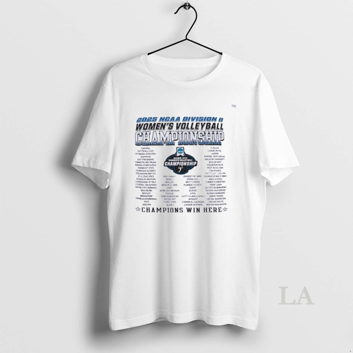 Original Dii Womens Volleyball Regionals 2025 T-Shirts, Hoodie, Sweatshirt | InkRitualCo.com