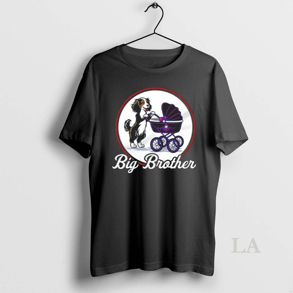 Original Dog Decoy Big Brother T-Shirts, Hoodie, Sweatshirt | InkRitualCo.com