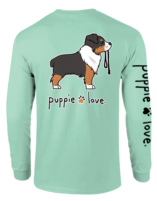 AUSTRALIAN SHEPHERD PUP (TRI COLOR), ADULT LS