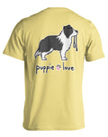 BORDER COLLIE PUP (BLACK & WHITE)