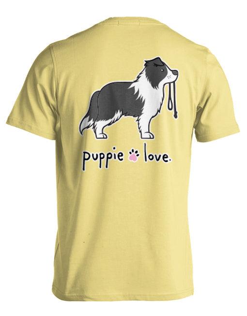 BORDER COLLIE PUP (BLACK & WHITE)