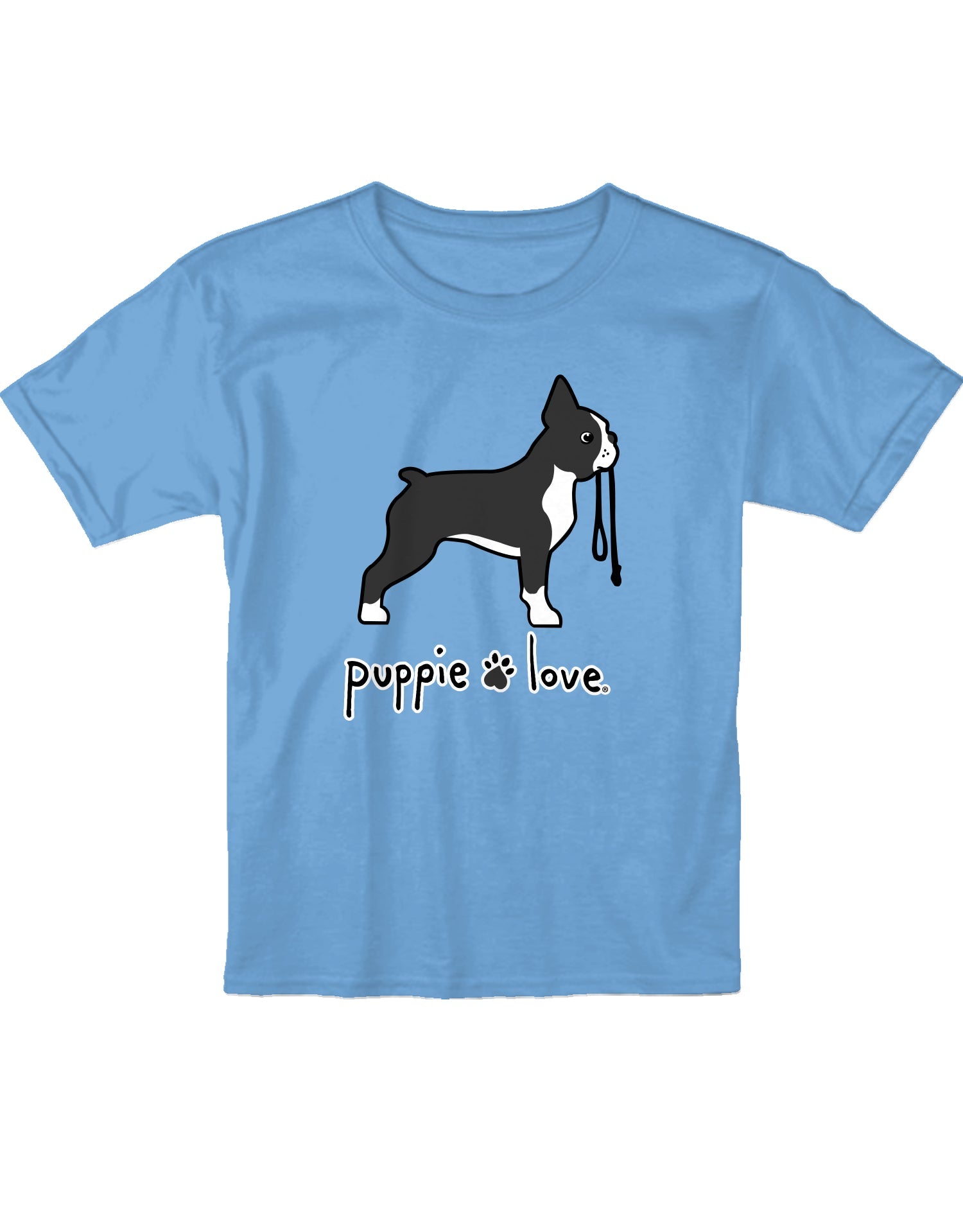 BOSTON TERRIER PUP, YOUTH SS (FF)