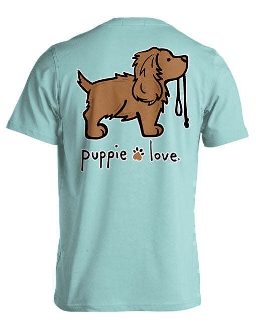 BOYKIN SPANIEL PUP