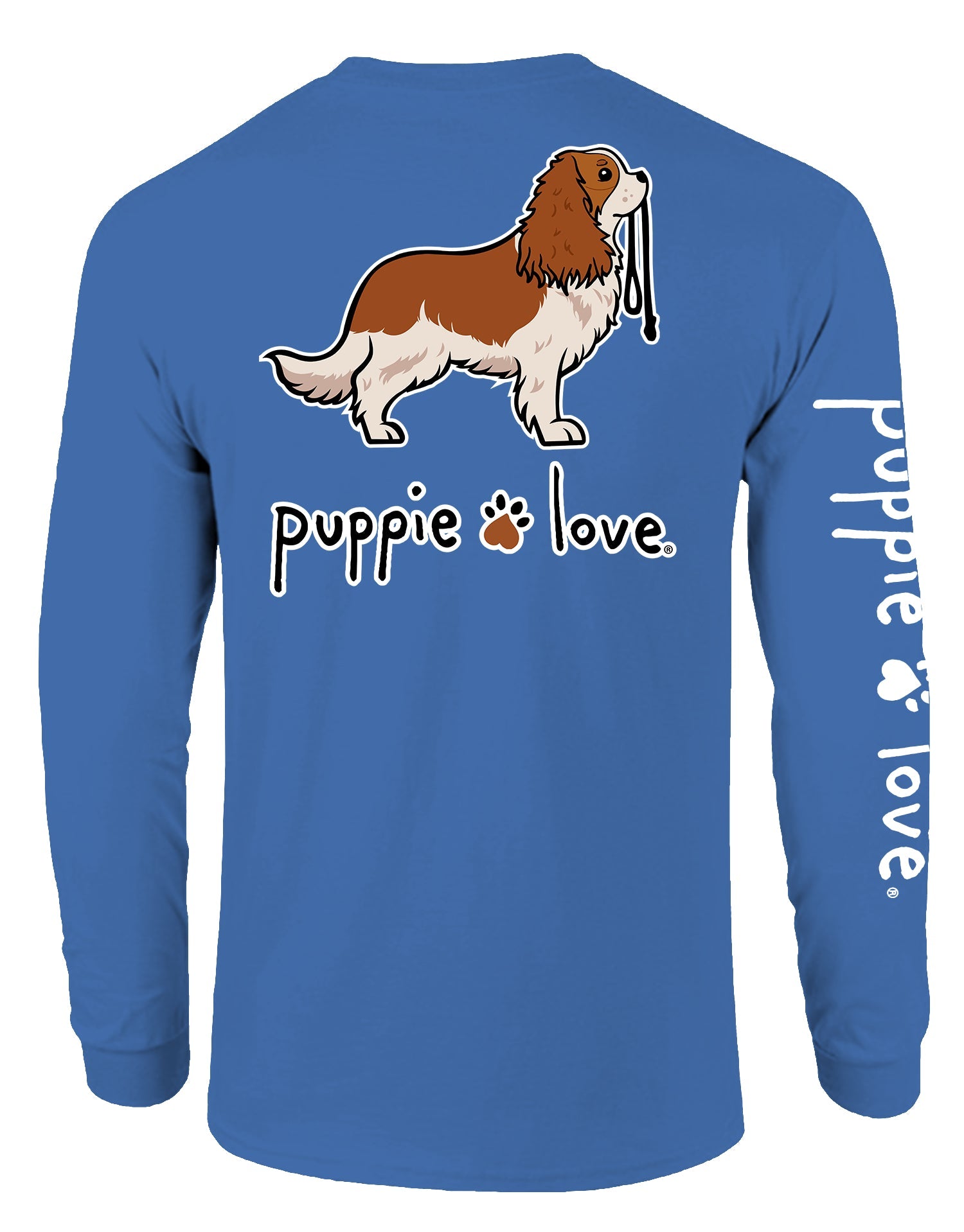 CAVALIER KING CHARLES SPANIEL PUP (BLENHEIM), ADULT LS