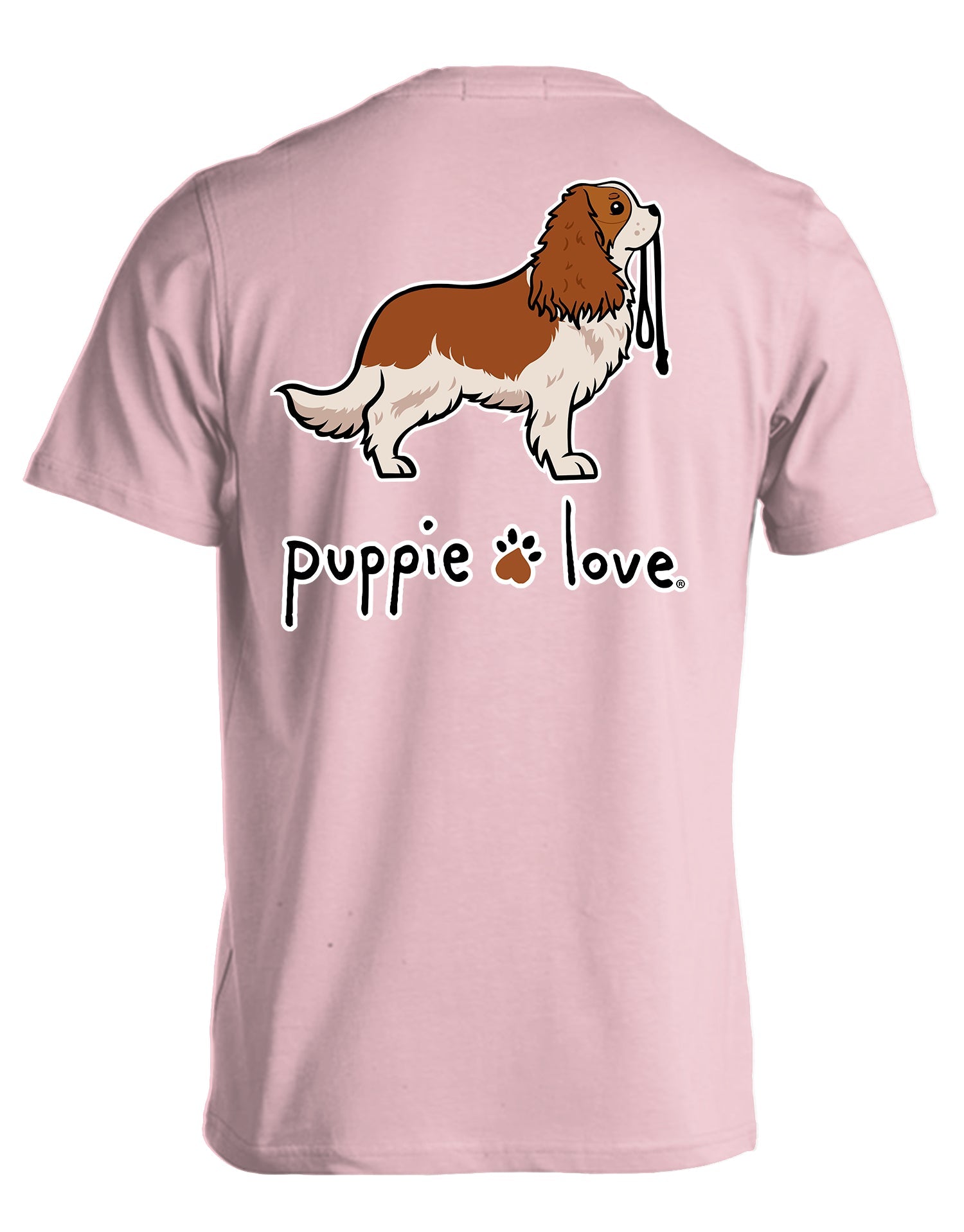 CAVALIER KING CHARLES SPANIEL PUP (BLENHEIM)