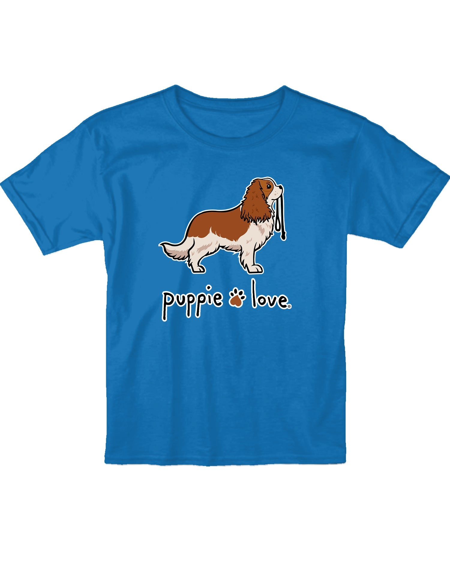 CAVALIER KING CHARLES SPANIEL PUP (BLENHEIM), YOUTH SS