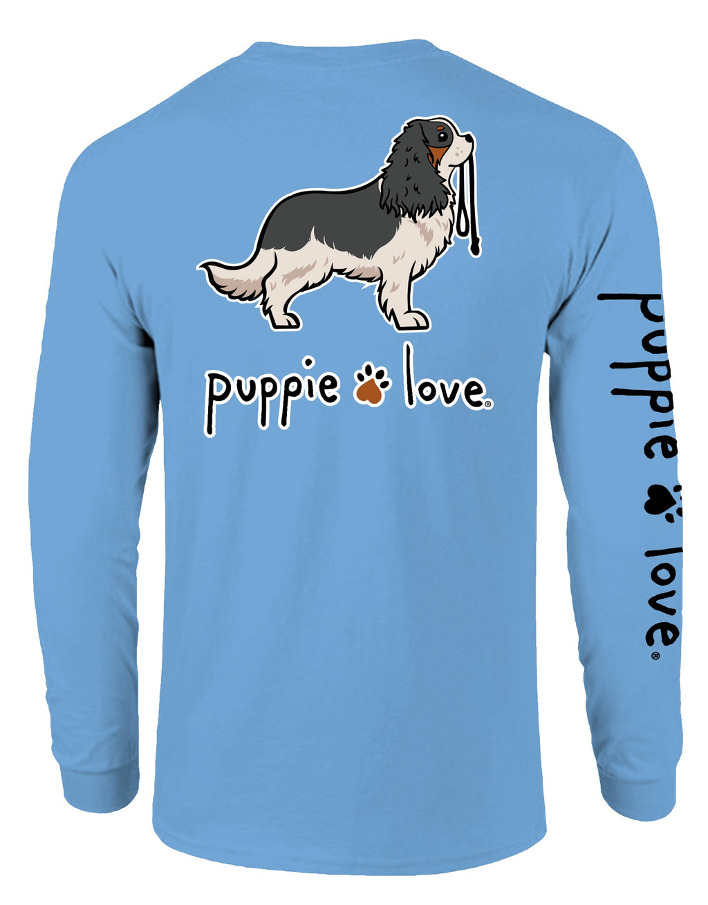 CAVALIER KING CHARLES SPANIEL PUP (TRICOLOR), ADULT LS