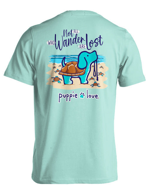 WANDER LOST TURTLE PUP