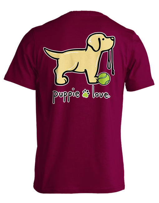 YELLOW LAB PUP