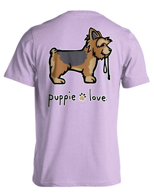 YORKIE PUP