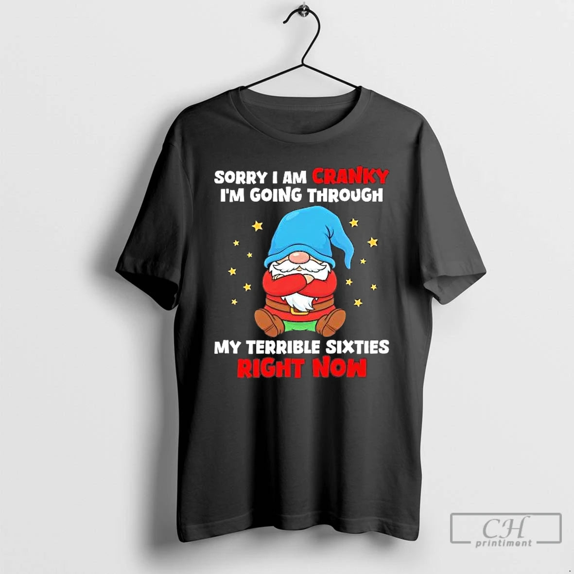 Premium Gnome Sorry I Am Cranky Im Going Through My Terrible Sixties T Shirts Sweater Hoodie, Sweatshirt | InkRitualCo.com