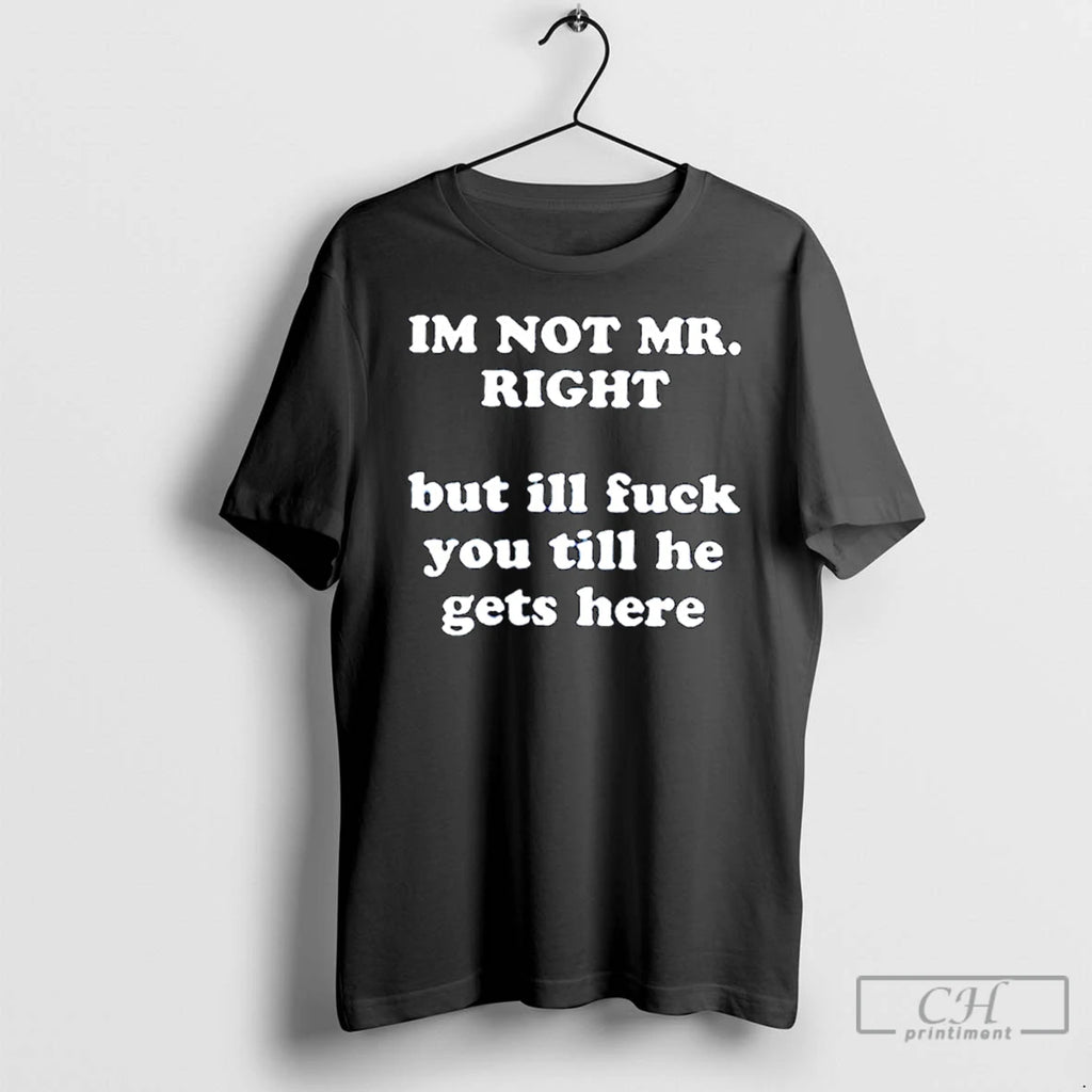 Premium Im Not Mr Right But Ill Fuck You Ornaments T Shirts Hoodie, Sweatshirt | InkRitualCo.com