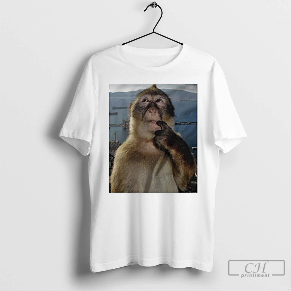 Premium Monkey Thinking Meme Ornaments T Shirts Hoodie, Sweatshirt | InkRitualCo.com