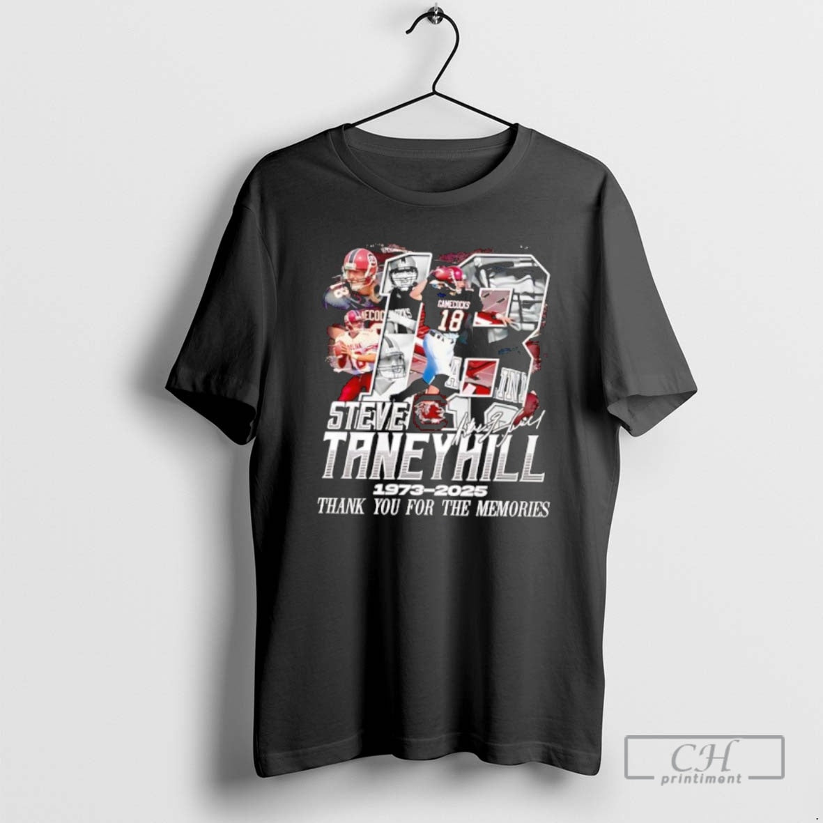 Premium South Carolina Gamecocks Steve Taneyhill 1973 2025 Shirt Sweater Hoodie, Sweatshirt | InkRitualCo.com
