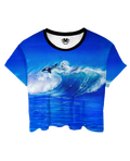 Spindrift Crop Top
