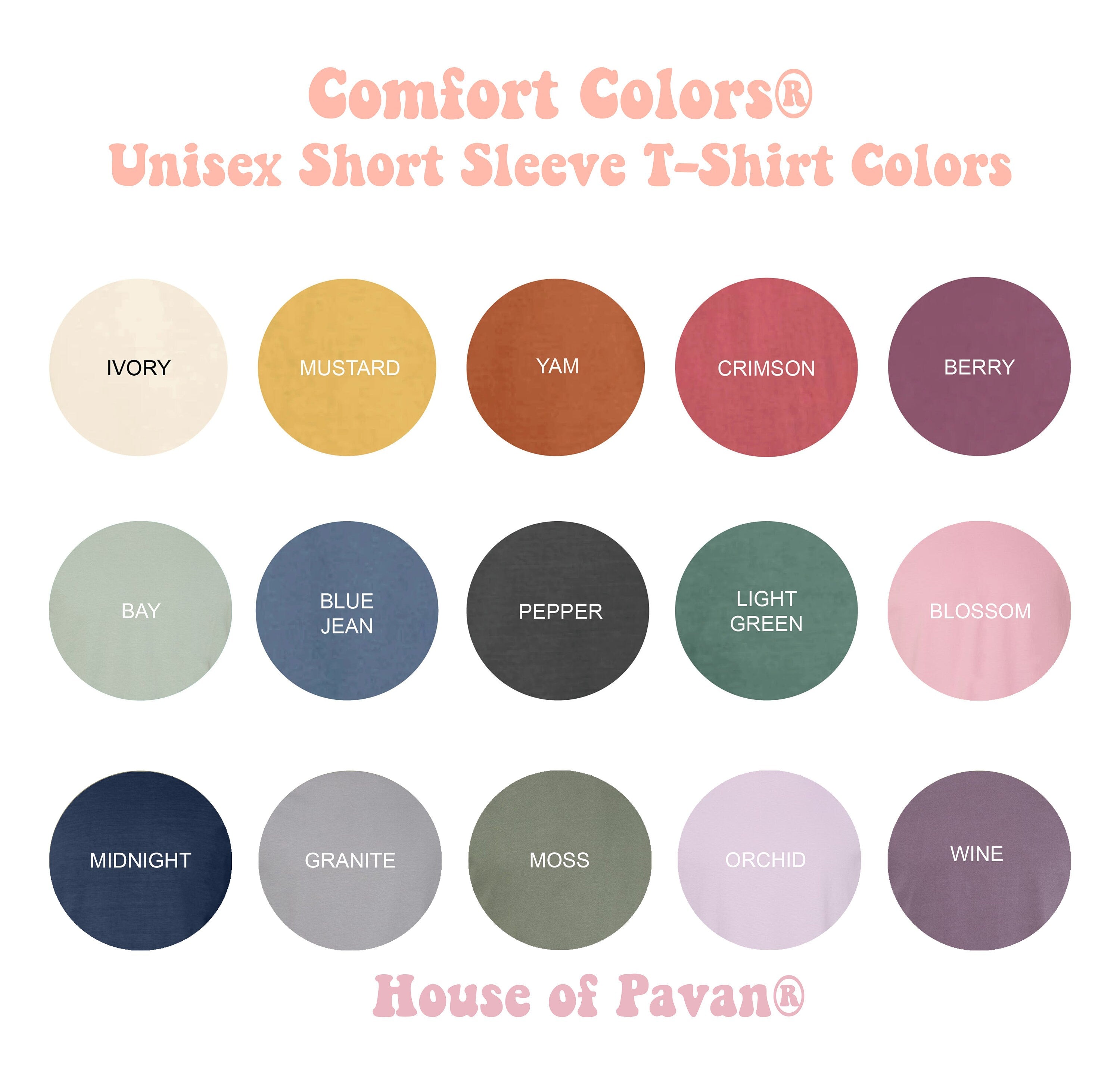 Raisin Hell Hippies Western Cowgirl Retro Nashville Country Music Comfort Colors Rodeo (3)
