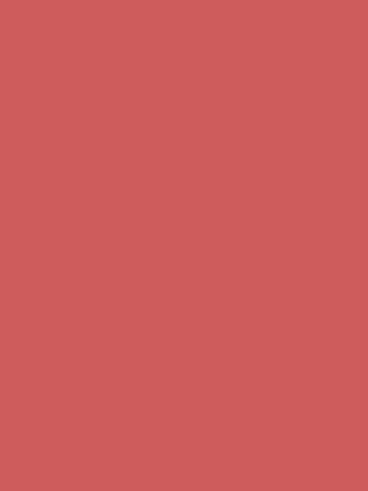 Indian Red by ARTPICS Shirts