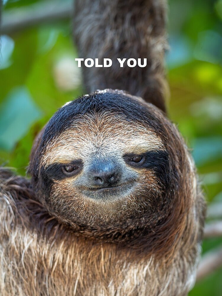 Told You Sloth Meme – Funny Sarcastic Relatable Animal Humor by WildFrameNature
