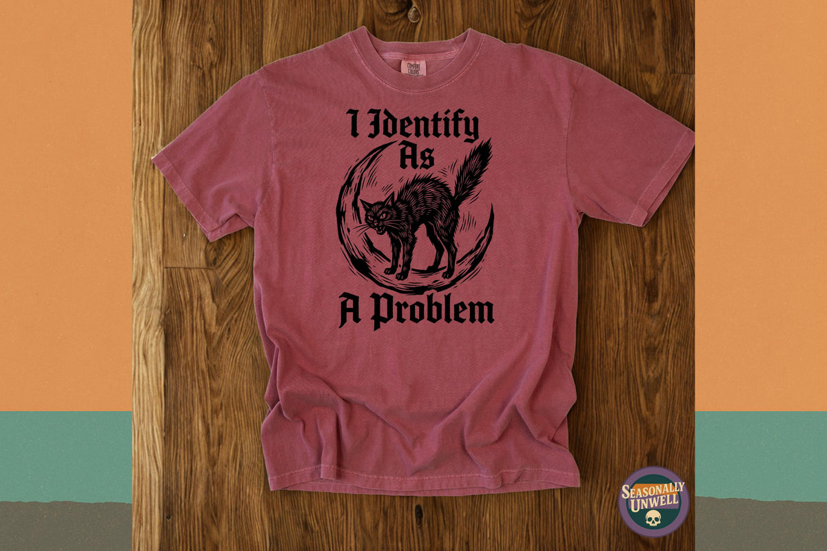 Identify Problem Comfort Colors Black Cat Lover Unisex T-shirt, Sweatshirt, Hoodie (5)