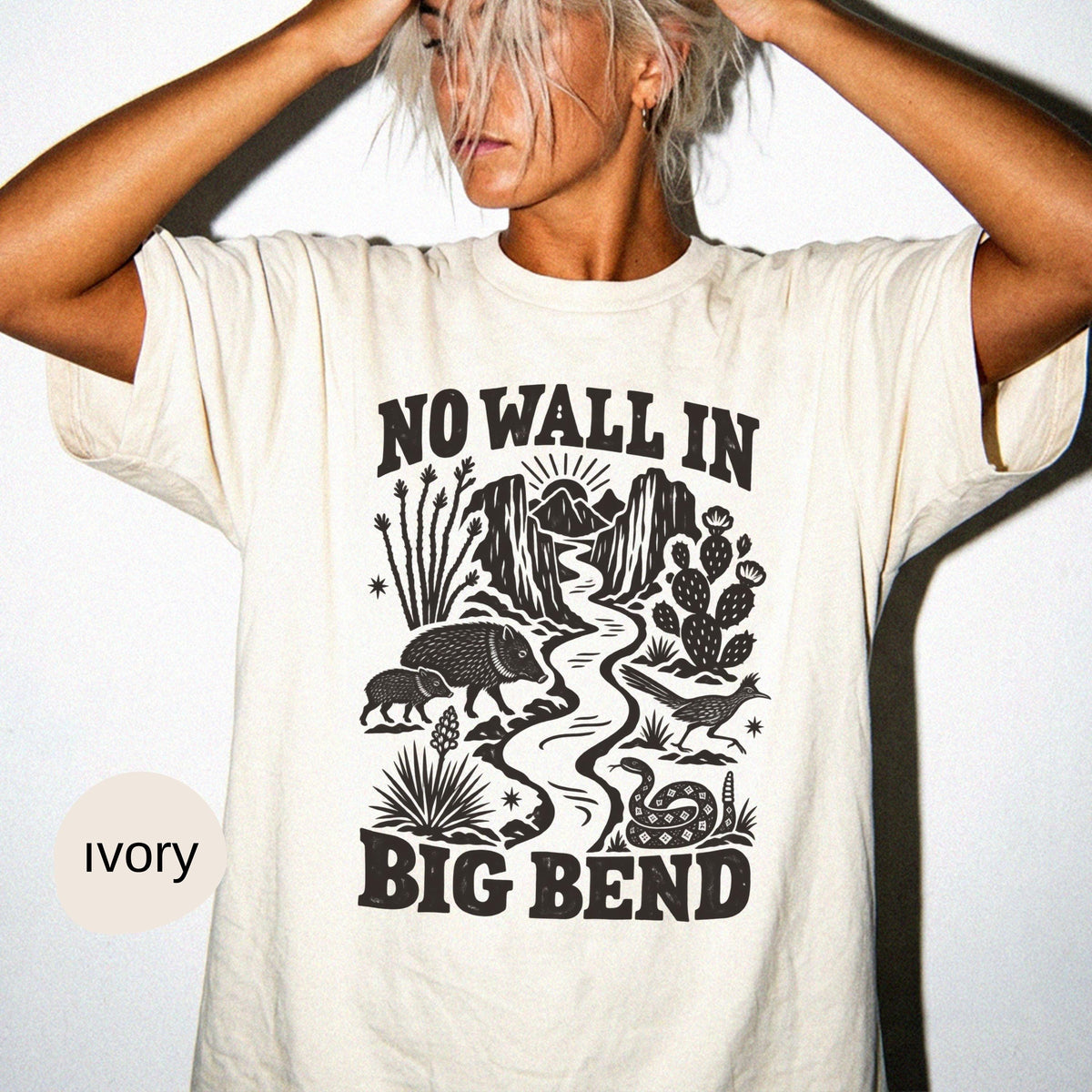 Wall Big Bend Protect Public Lands Texas National Park Tee (2)