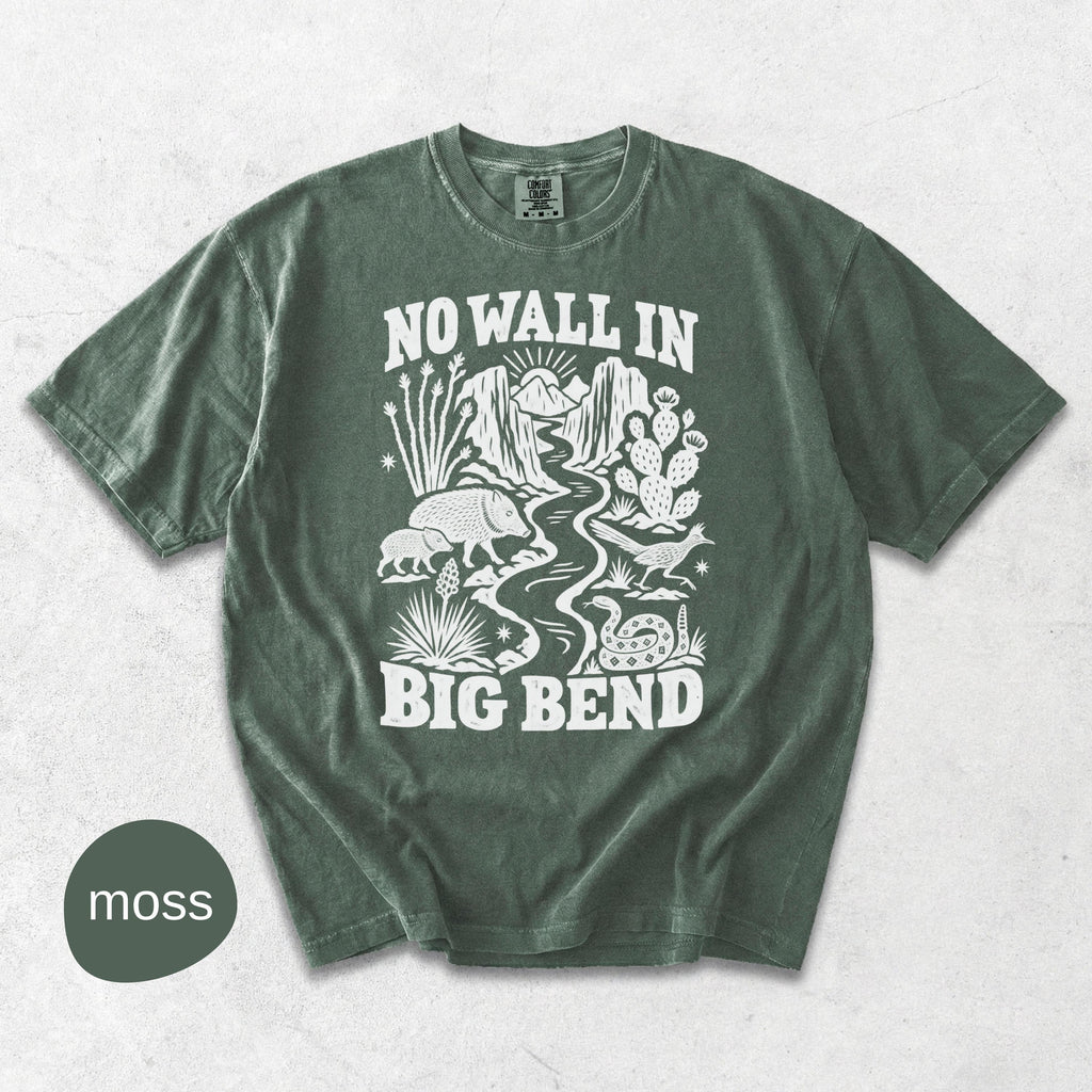 Wall Big Bend Protect Public Lands Texas National Park Tee (4)