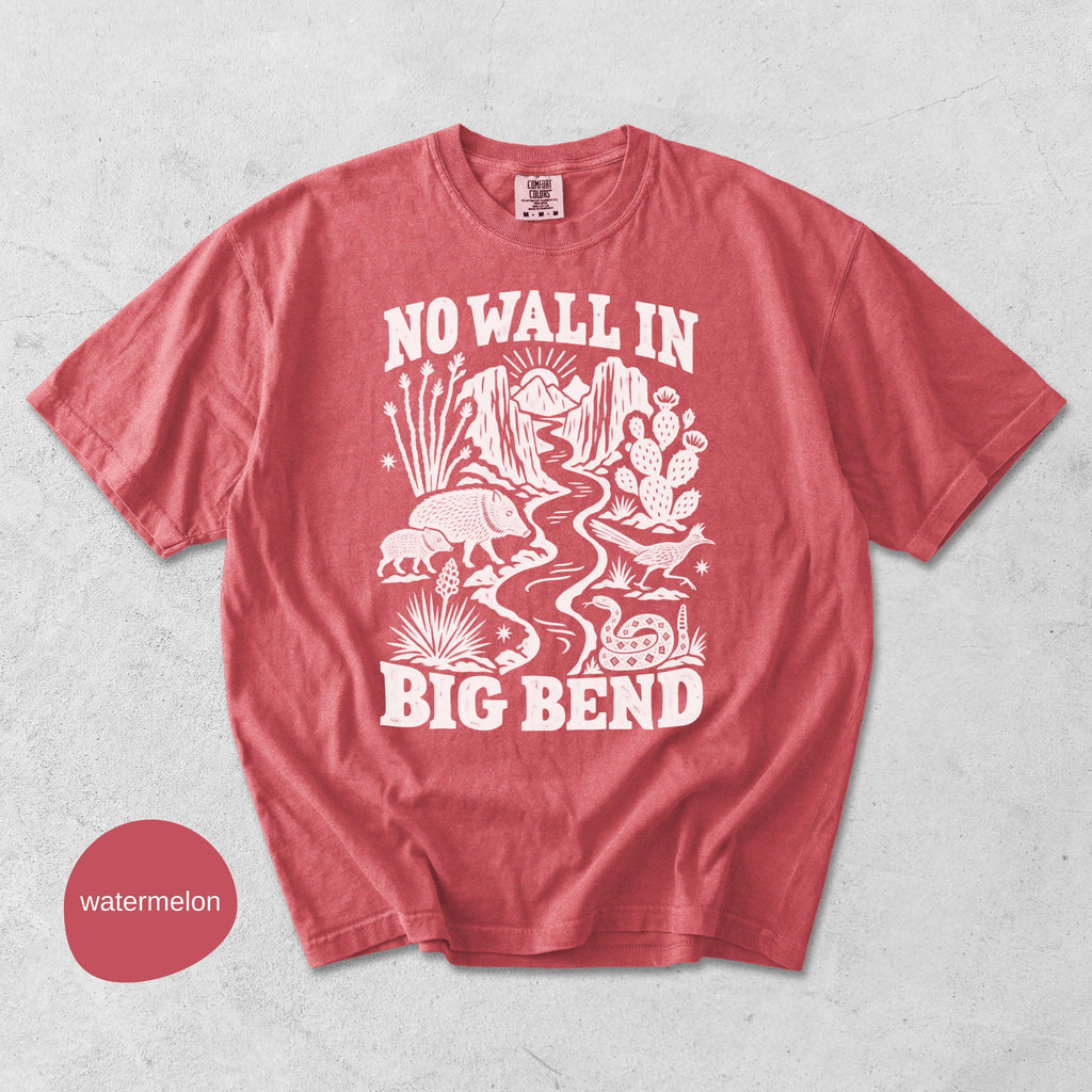 Wall Big Bend Protect Public Lands Texas National Park Tee (5)