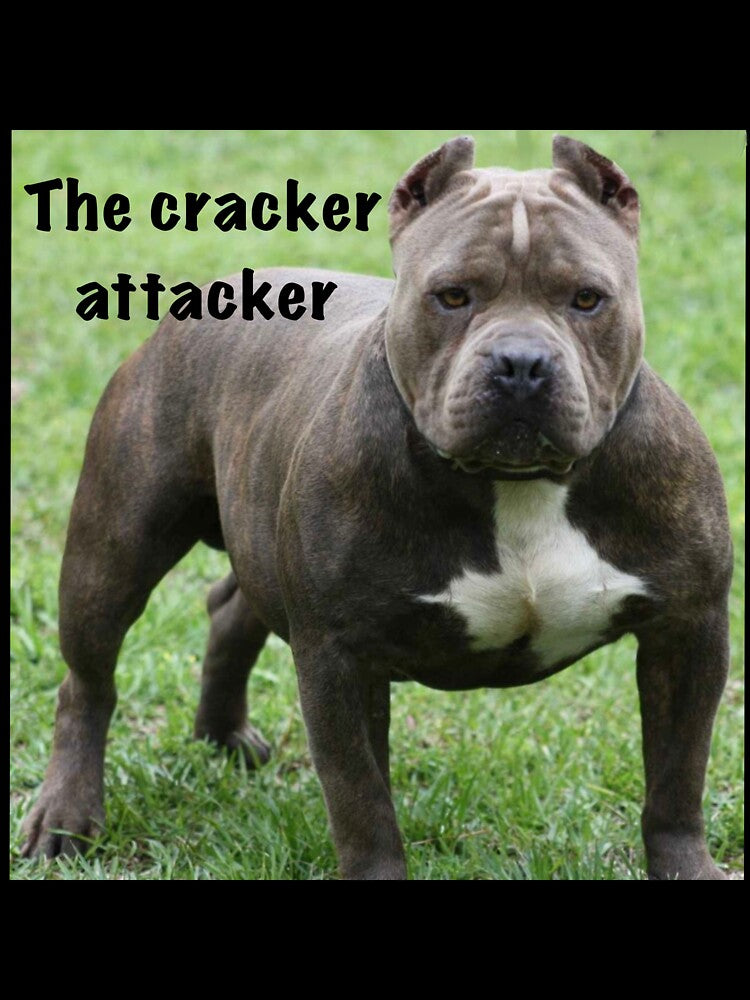 The cracker attacker by Funnymaybe