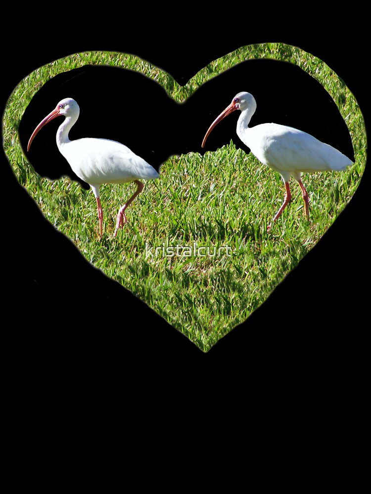 Ibis Heart by kristalcurt