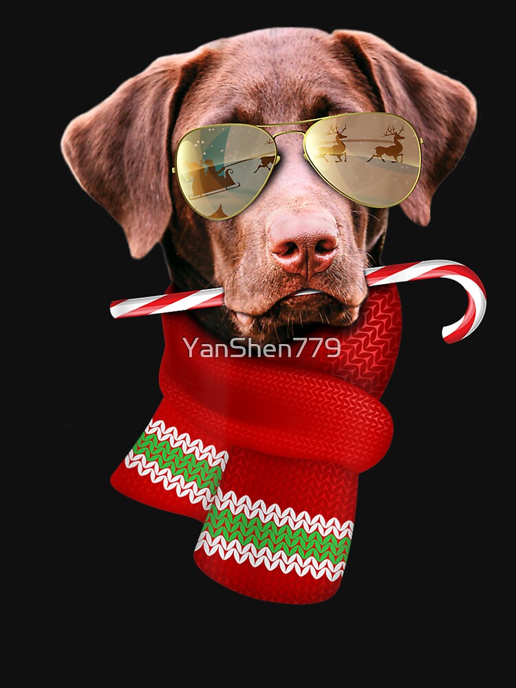 Chocolate Labrador Christmas Gift For Dog Lovers Sunglasses by YanShen779