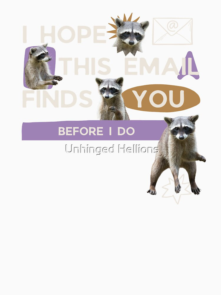 Funny Office Email Raccoon Meme by Unhinged Hellions