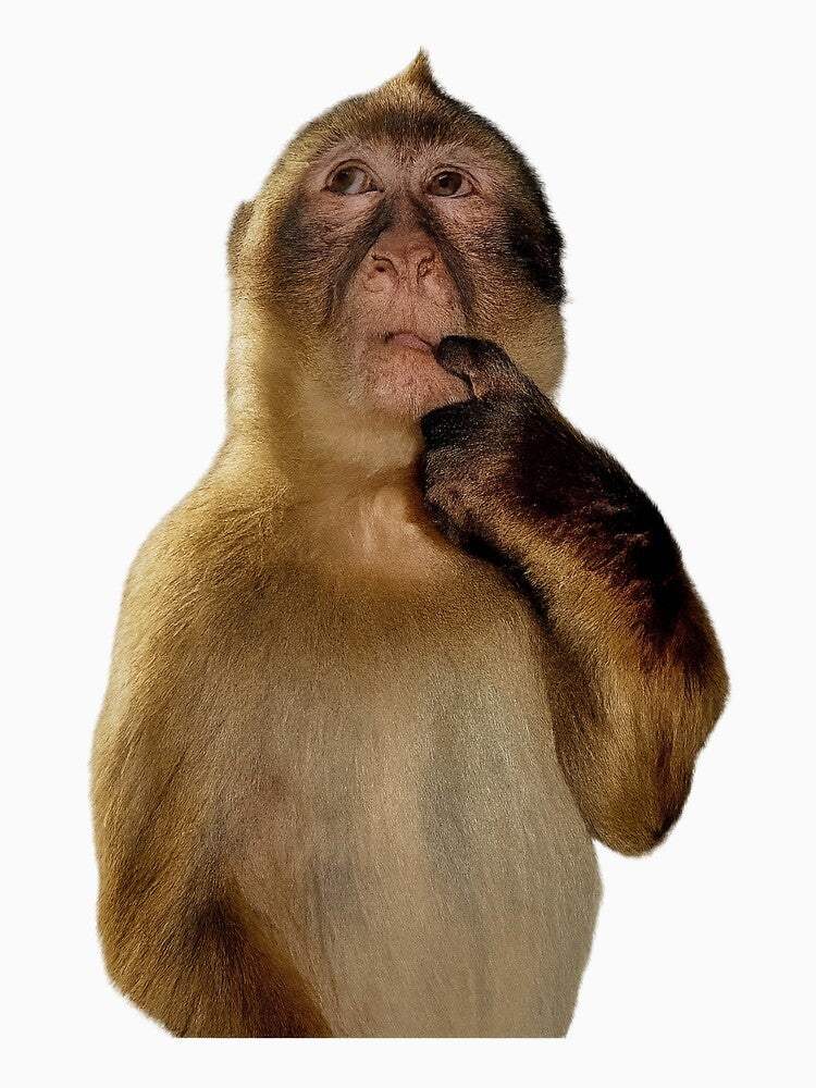 Monkey Thinking (cutout) by APhantasticBean