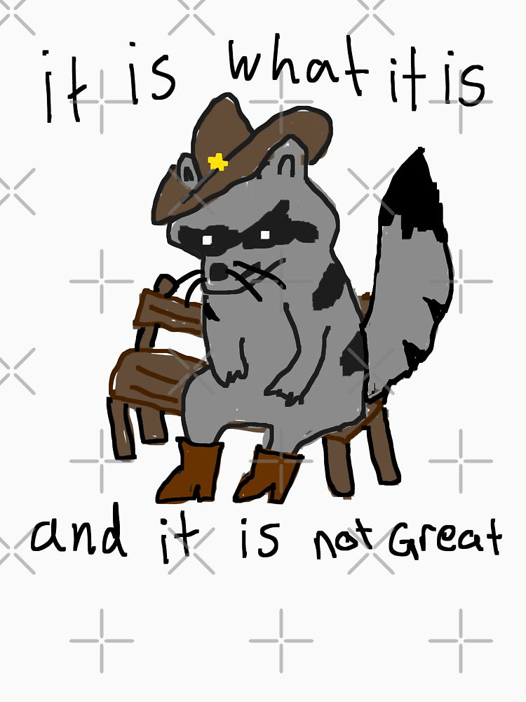 Cowboy raccoon by Chaos Haven