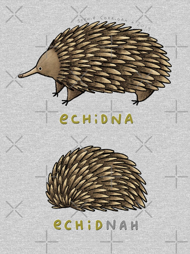Echidna Echidnah by SophieCorrigan