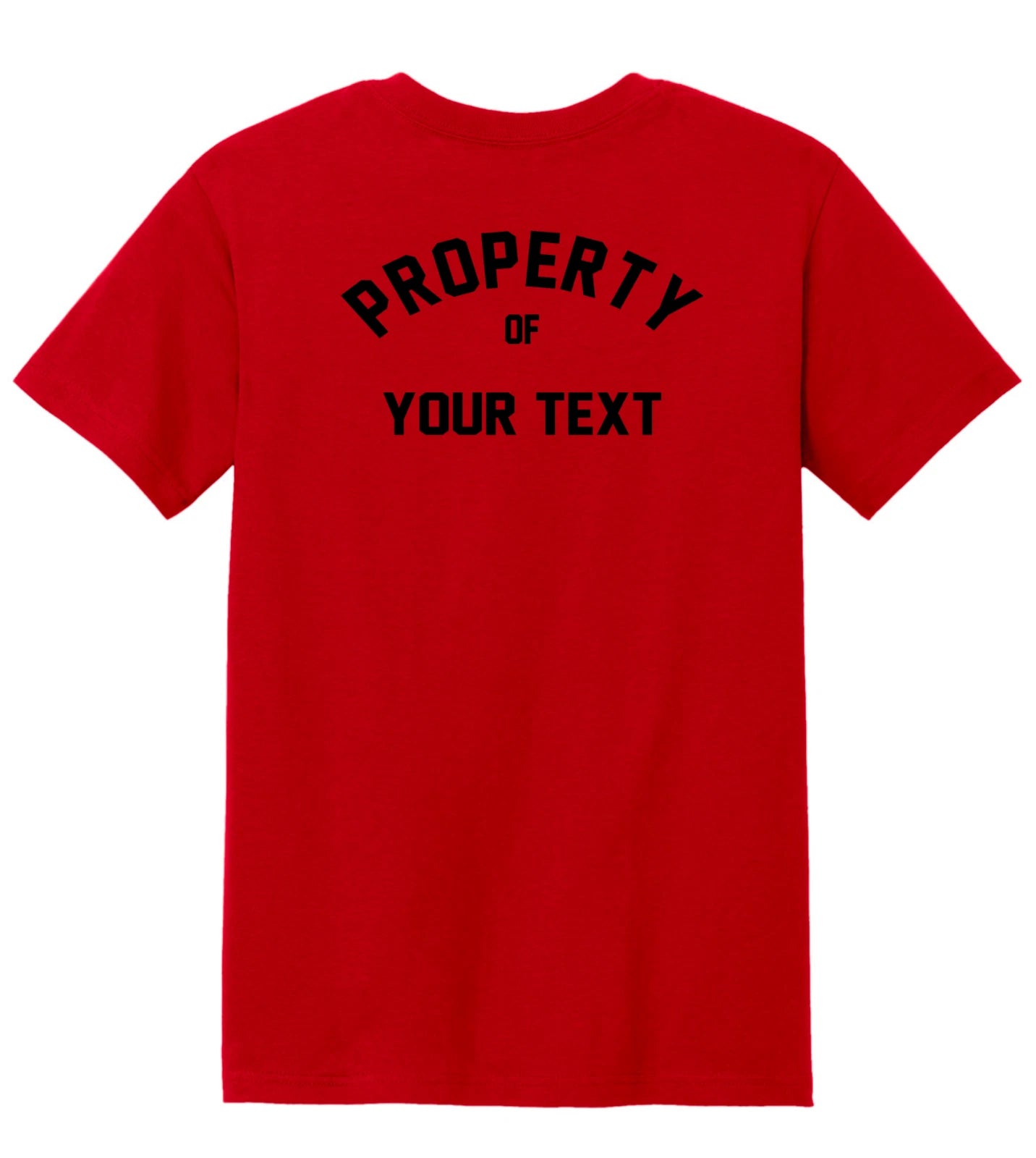 Personalized/Custom Property of T-Shirt Personalized Tee