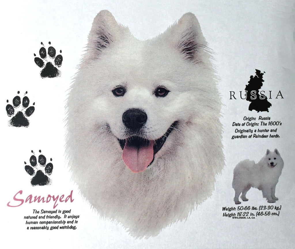 Samoyed Dog Breed Graphic T-Shirts New History of Samoyed Shirts Free Shipping