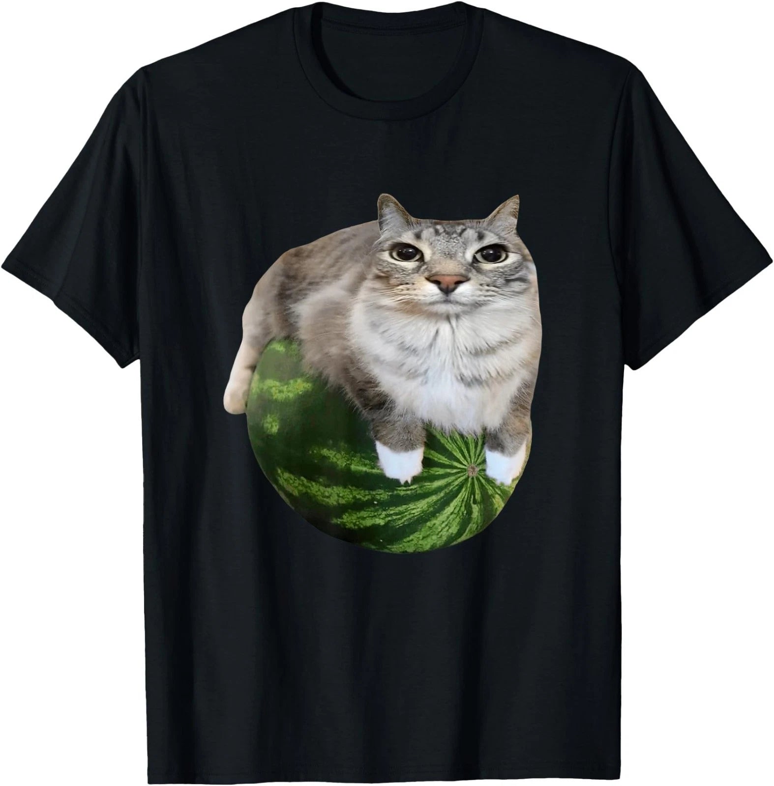 Watermelon Cat Silly Cat Meme T-Shirt