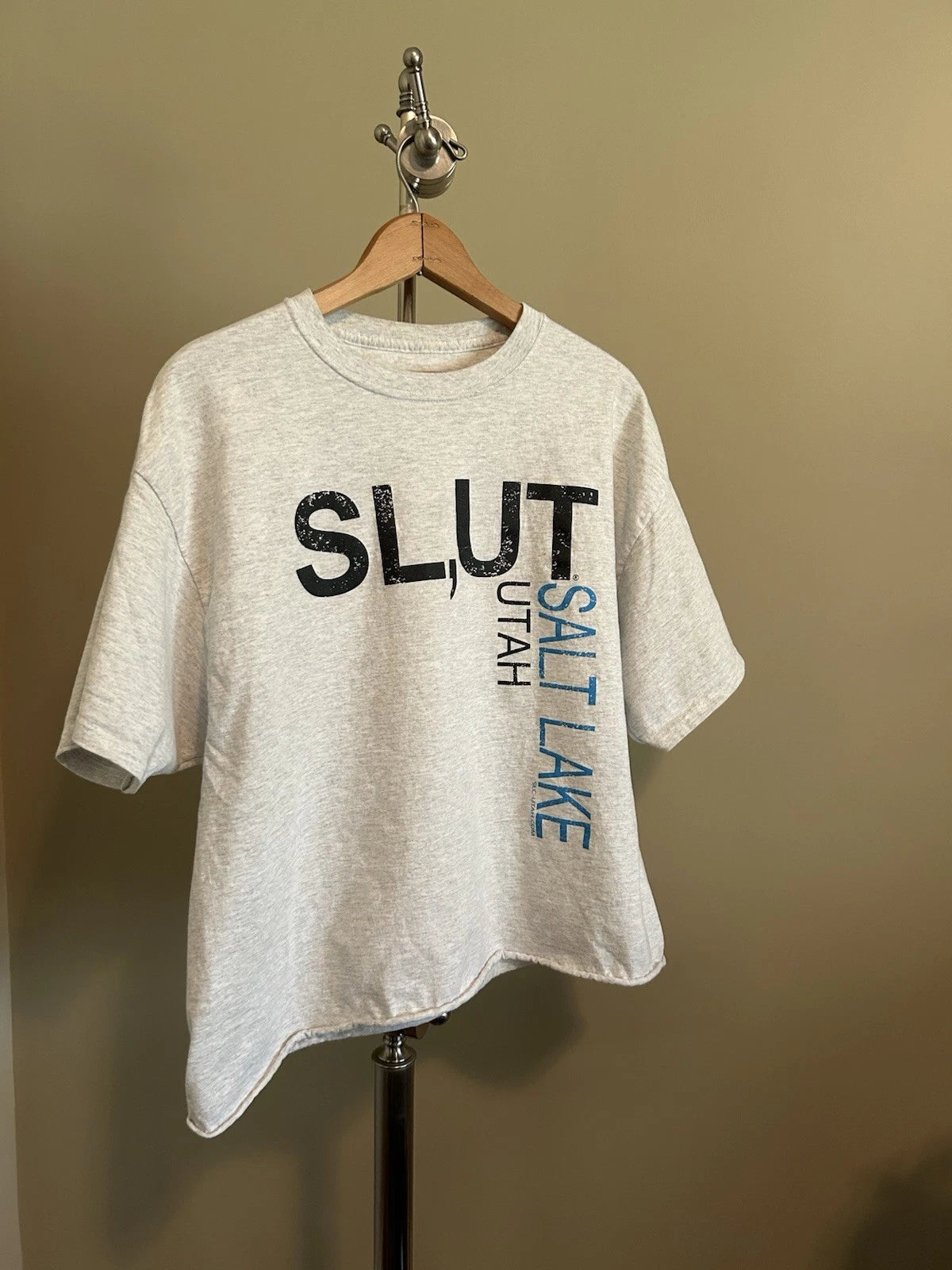 Salt Lake City Utah Unisex Cropped Shirt